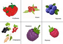 Карточки с ягодами