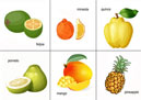 Cards - fruits. Карточки с фруктами.