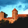 Ринекский замок (Burg Rieneck)